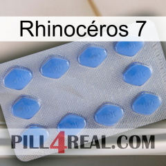 Rhinocéros 7 21